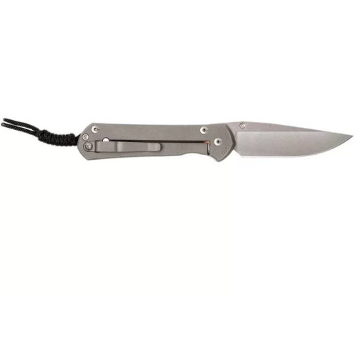 Складной нож Chris Reeve Large Sebenza 21 Think Twice фото 7