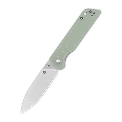  QSP Parrot