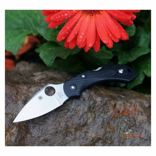 Складной нож Spyderco Dragonfly 2 - 28PBK2 фото 11 Складной нож Spyderco Dragonfly 2 - 28PBK2 фото 11